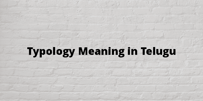 typology-meaning-in-telugu