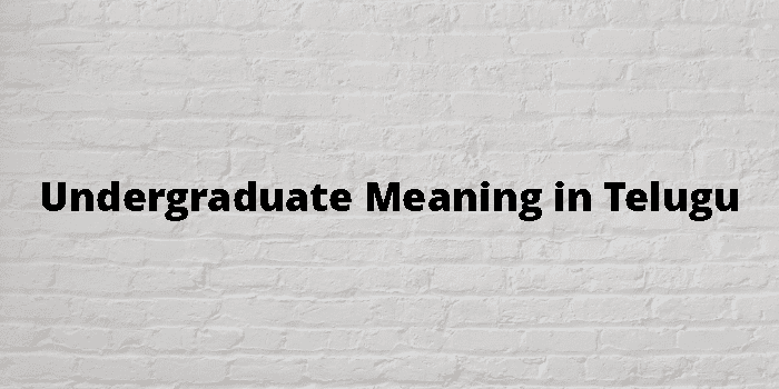 undergraduate-meaning-in-telugu