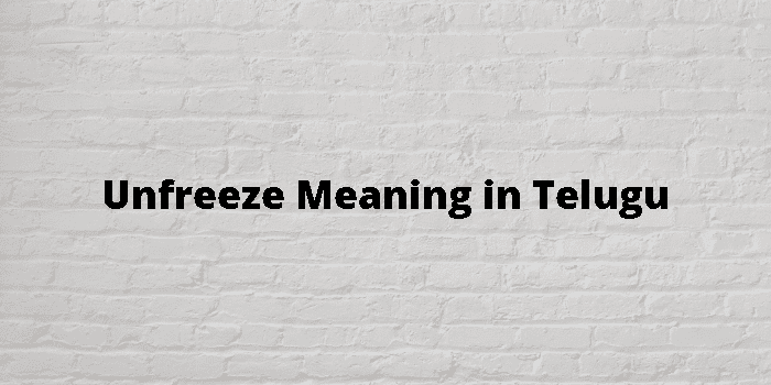 unfreeze-meaning-in-telugu