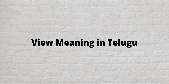 view-meaning-in-telugu