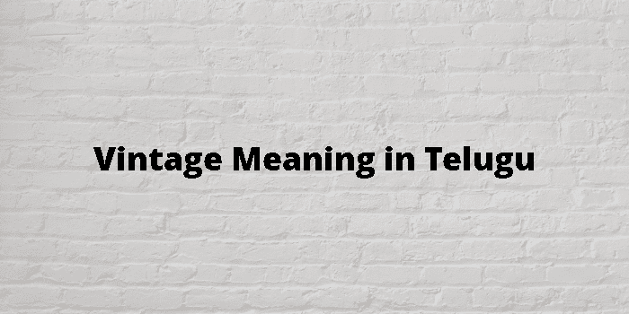 Vintage Meaning In Telugu 