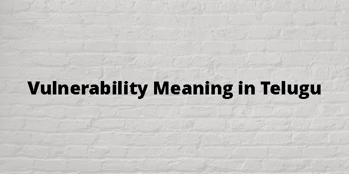 vulnerability-meaning-in-telugu