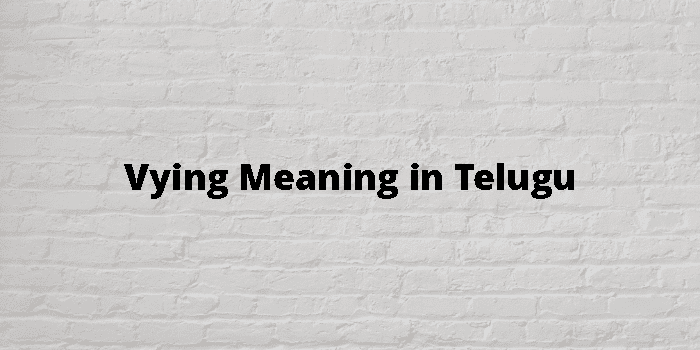 vying-meaning-in-telugu