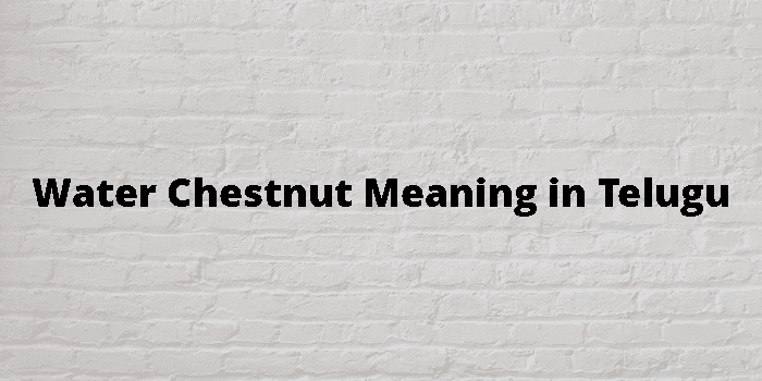 benefits-of-water-chestnut-tamil-boiled-water-chestnut-singada-rare