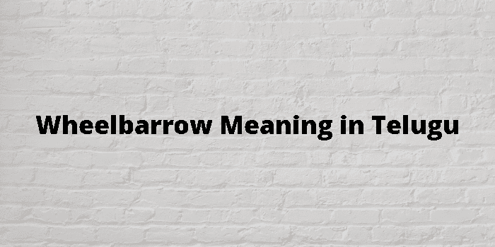 Wheelbarrow Meaning In Telugu