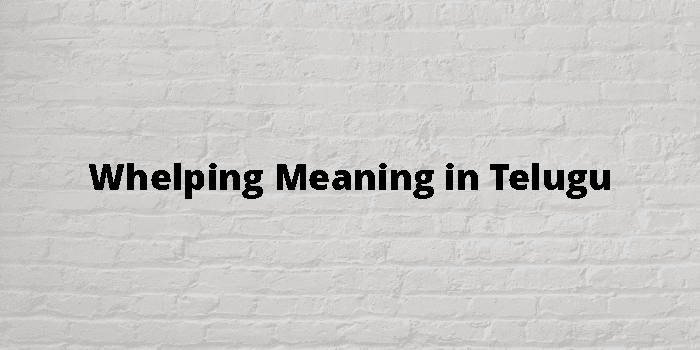 whelping-meaning-in-telugu