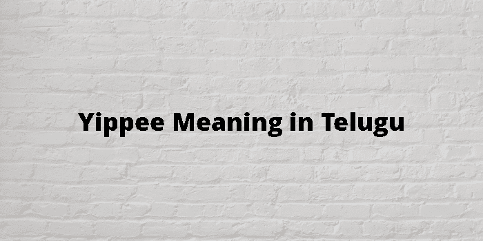 Yippee Meaning In Telugu - తెలుగు అర్థం
