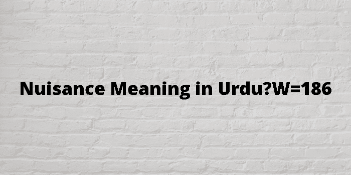  Nuisance Meaning In Urdu 