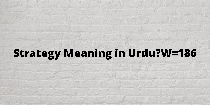 Strategy Meaning In Urdu 