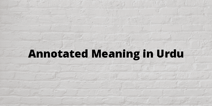 annotated-meaning-in-urdu