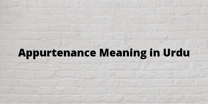 appurtenance-meaning-in-urdu