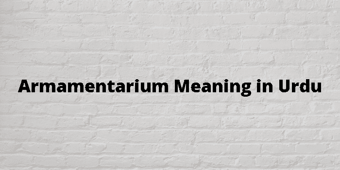 armamentarium-meaning-in-urdu