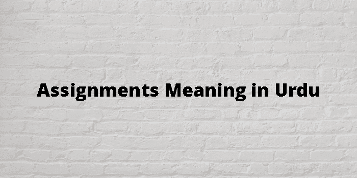 what is the urdu meaning of assignments