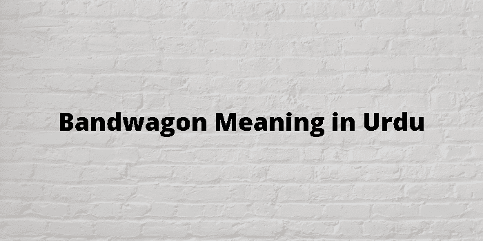 bandwagon-meaning-in-urdu