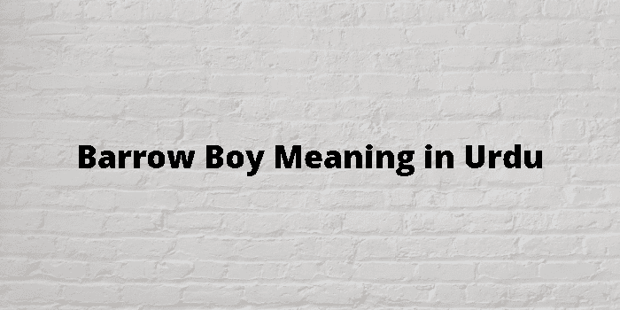 Barrow Boy Meaning In Urdu