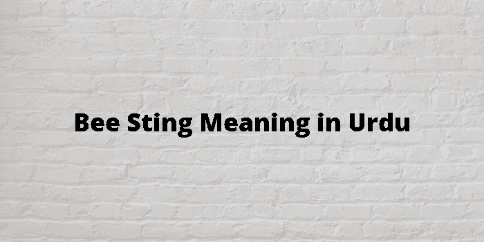 bee-sting-meaning-in-urdu