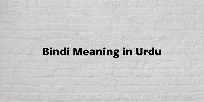 Bindi Meaning In Urdu - اردو معنی