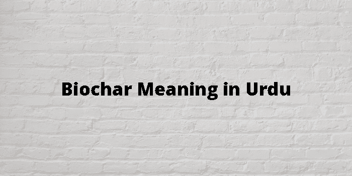 biochar-meaning-in-urdu