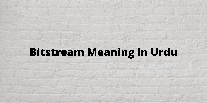 bitstream-meaning-in-urdu