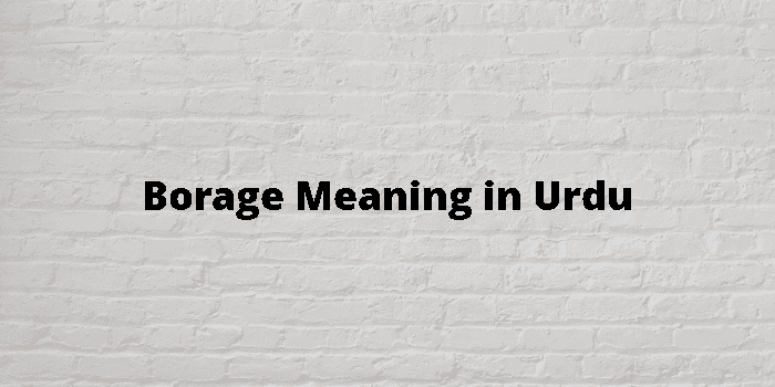 borage-meaning-in-urdu