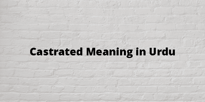 Castrated Meaning In Urdu - اردو معنی