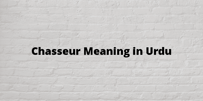 Chasseur Meaning In Urdu