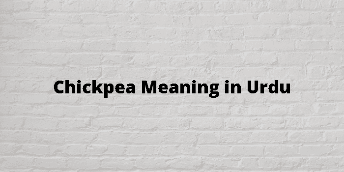 chickpea-meaning-in-urdu