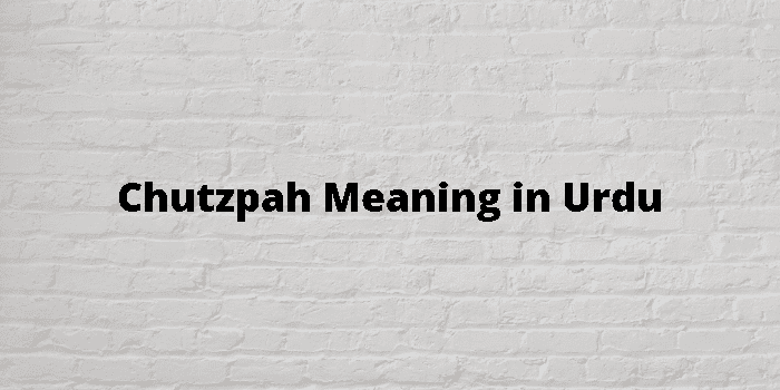 Chutzpah Meaning In Urdu, Gustaakhi گُستاخی