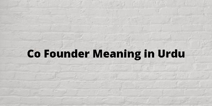 co-founder-meaning-in-urdu