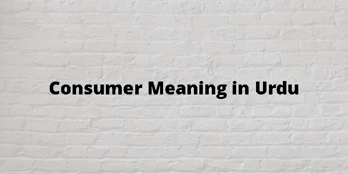 Consumer Meaning In Urdu