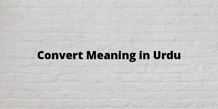 Convate meaning outlet