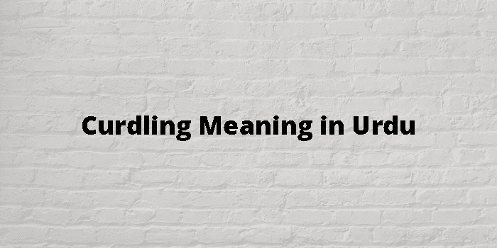 Curdling Meaning In Urdu - اردو معنی