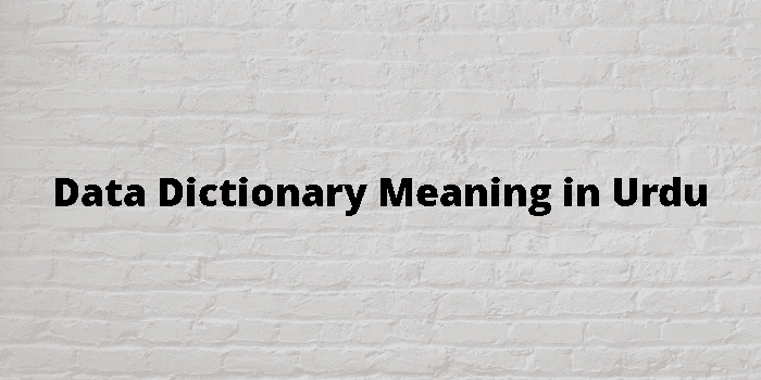 data-dictionary-meaning-in-urdu