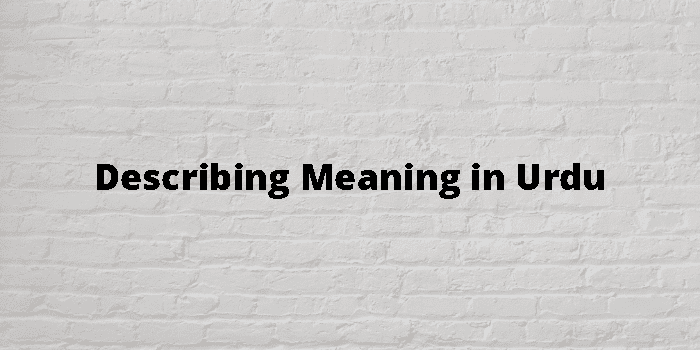 describing-meaning-in-urdu