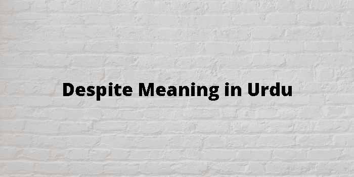despite-meaning-in-urdu