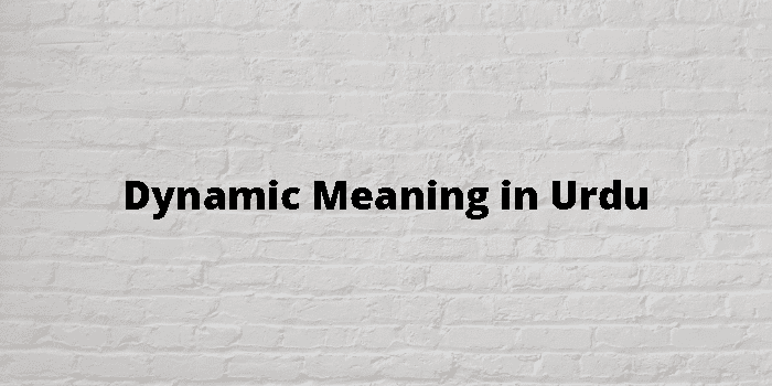dynamic-meaning-in-urdu