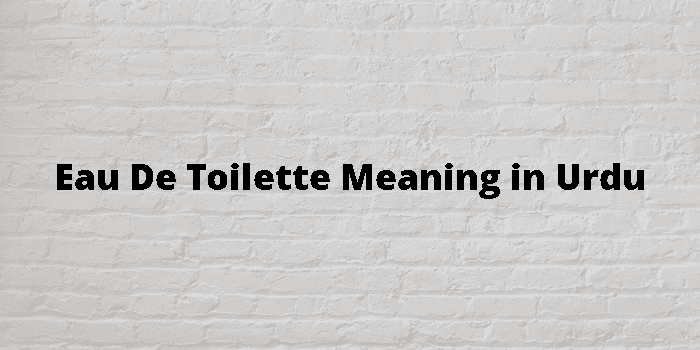 Toilette spray outlet meaning in urdu