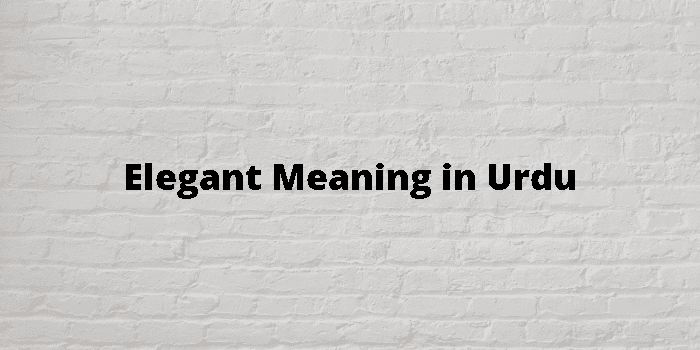 elegant-meaning-in-urdu