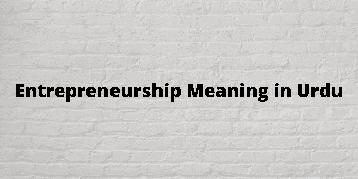 entrepreneurship-meaning-in-urdu