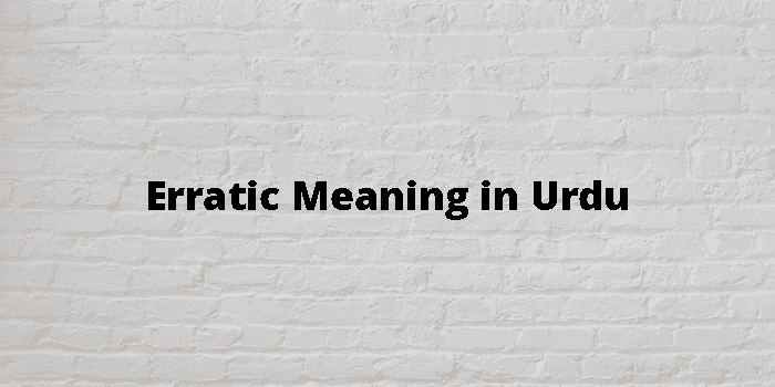erratic-adjective-meaning-pronunciation-and-examples-in-sentences
