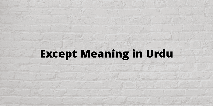 Except Meaning In Urdu - اردو معنی