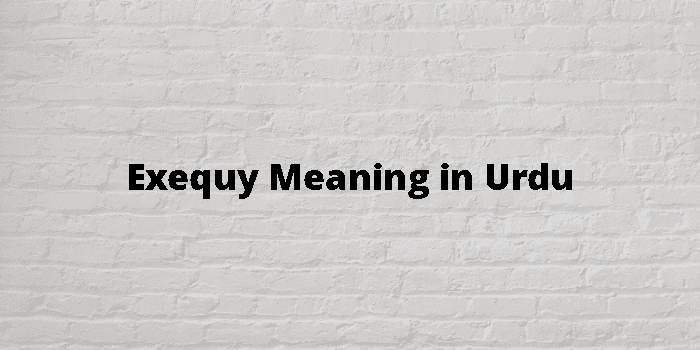 exequy-meaning-in-urdu