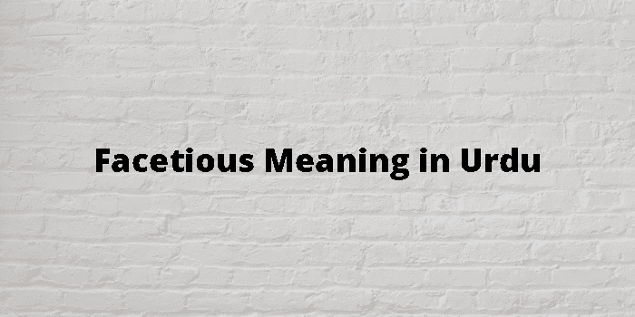 Facetious Meaning In Urdu - اردو معنی