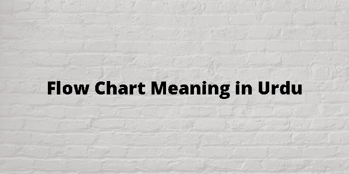 flow-chart-meaning-in-urdu