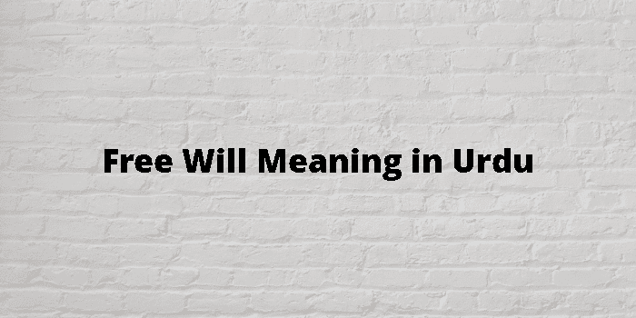 free-will-meaning-in-urdu