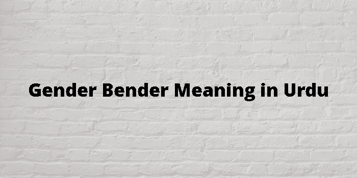 gender-bender-meaning-in-urdu