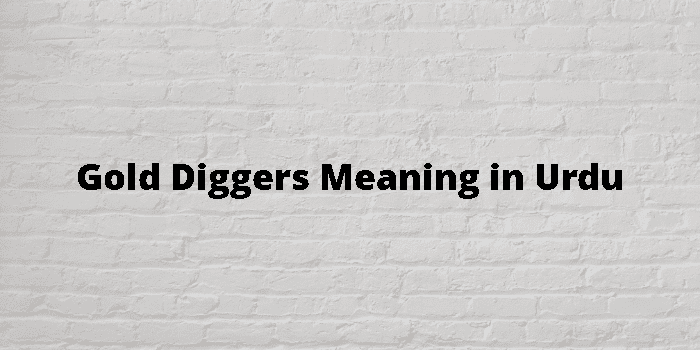 Gold Digger Meaning In Urdu - Gold Digger English to Urdu - Gold