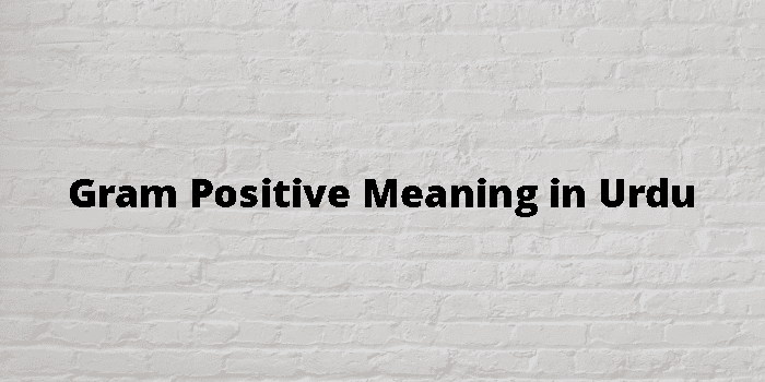 gram-positive-meaning-in-urdu