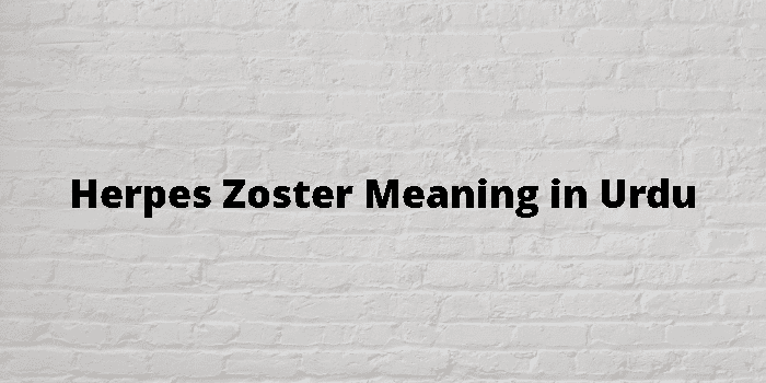 Herpes Zoster Meaning In Urdu 