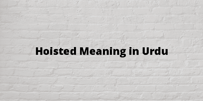 Hoisted Meaning In Urdu - اردو معنی